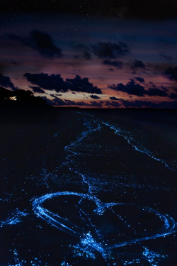 plasmatics-life:  Heart on the beach | Maldivian Islands (by ArtTomCat)