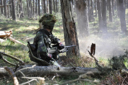 militaryarmament:  Swedish Soldier laying down heavy suppressive