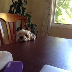 yongmuney:  she sits at the table and listens to our breakfast