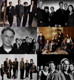 markharmonparadise:  NCIS Through the Years || Cast Season