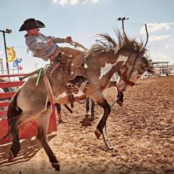 equine-awareness: slusherphoto:  Western Wednesday / TBMBR  (at