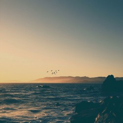 greaterland:  Martin Reisch 