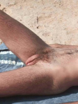 studsnpuds:  My foreskinned penis on a public beach in California.