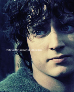 smugan:  Frodo meme: (5/8) eight quotes 