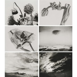 zzzze:  Nobuyoshi Araki, Set of 6: Ku Ka,1997 