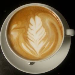 Medium latte.  Made with whole milk and Intelligentsia’s