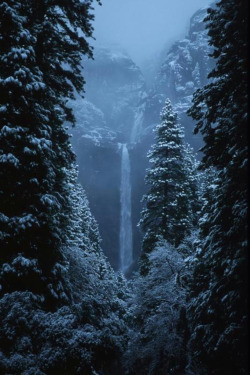 renamonkalou:Yosemite Falls In January | Stan and Anne Foster