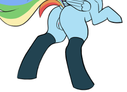 pony-butt-express:(50/366) Rainbow Dash but without her normal