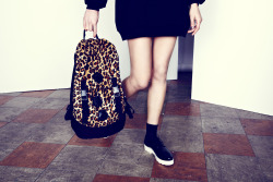 lazyoaf:  The cats out of the bag