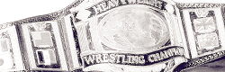 second-city-saint:  WWF/WWE Championship   