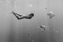 marisapapen:  Swimming with turtle and plastic bag - Please help me to make the Ocean a better place again - get your Calendar here; www.plastic-sushi.com