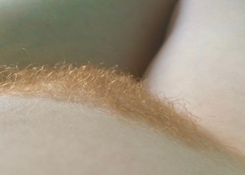 worship-my-body:My ginger pubes 