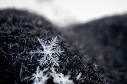 whatdidulearntoday:  There are only 35 different types of Snowflakes!