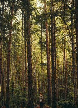 vhord:  northwest by ZacharySnellenberger on Flickr.