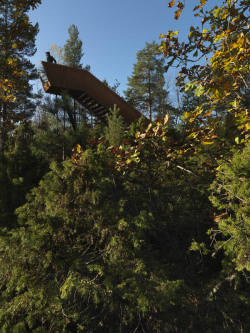 cosascool: Forest Stair by Saunders Architecture in Stokke