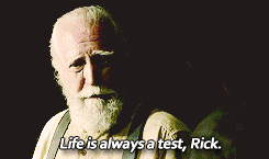 nonormynolife:    The Walking Dead - Life is   