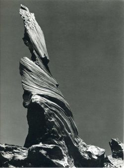 poetryconcrete: Driftwood Stump, photography by Edward Weston, 1937.