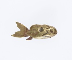 met-egyptian-art:  Amulet, fish, Egyptian Art Gift of Helen Miller