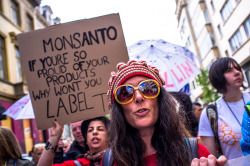 treehugger:  Vermont poised to enact mandatory GMO-labeling 
