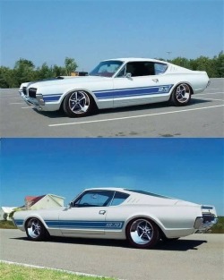 American Muscle Cars 