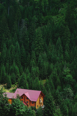 bluepueblo:  Forest House, Carpathian Mountains, Slovakia photo