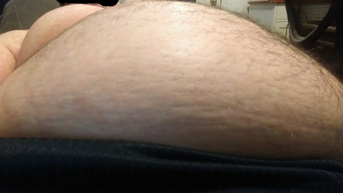 fatfoxinch:  Slowly growing larger.  Lovely proportions