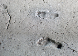 historical-nonfiction:  6,000 year old footprints baked into