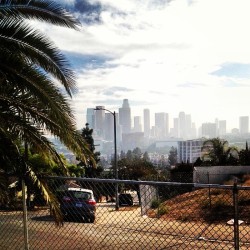 westcoast-livin:  Smoking view of LA the other day 