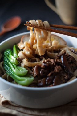 do-not-touch-my-food:  Taiwanese Braised Pork and Handmade Noodles