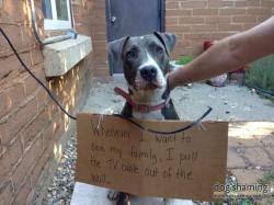 dogshaming:  The Barking Dead show cut short  Our dog Lucy has