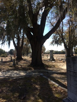 creekdontrise:I went to two cemeteries today, family in both.