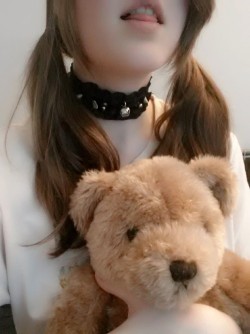 Pigtails, collar and a stuffed bear