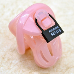 Just found this two chastity devices at wish.com!Pink is “Queen