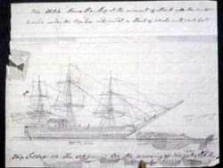 theoddmentemporium:  The Real Moby Dick In August 1819 the whaleship