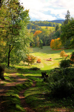 allthingseurope:  Winkworth Arboretum, England (by Tim Stocker)