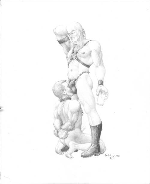 marquisbdsm:  The series:Â  Harnessâ€¦and Hardon. 