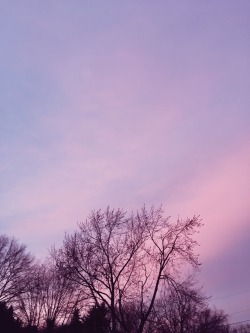 mostlyfiction:  the sky tonight was so beautiful and dreamy that