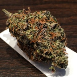 weedporndaily:  🔥🔥🔥first off all much #RESPECT to the