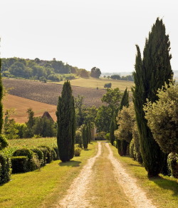 tryagaindairy:Tuscany  Italy