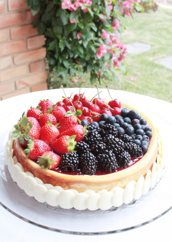 cinnahearts:  Berries & Ricotta Cheesecake (by Marcelo Monser) 
