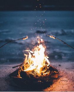 Cozy Campfires