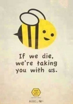 acutezza:  tautologicaly:  secondlina:  Bee death = Ecosystem