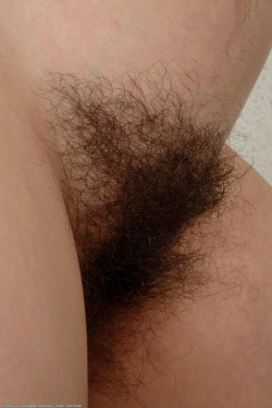 bigsohotpubes:  More Hairy Babes HERE