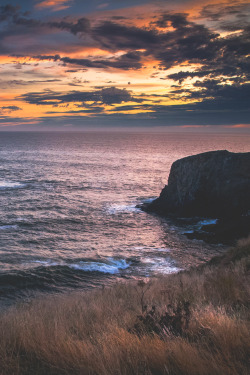 Kingdom Of The Ocean