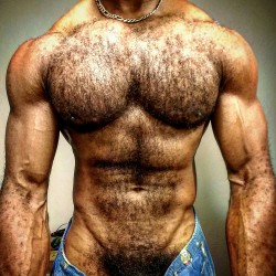 skippypodar:  Damn I’m hairy! Furry muscle is a good thing.