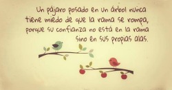 meditarte:  Pero, ustedes son los pájaros y yo soy la rama,