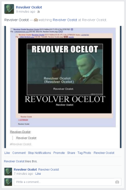 Revolver-Ocelot:  Revolver Ocelot 