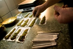 afadingreality:  Roll one up, pass it around, 99 big ass joints