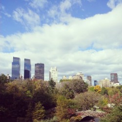 justabebopbaby:  #centralpark 