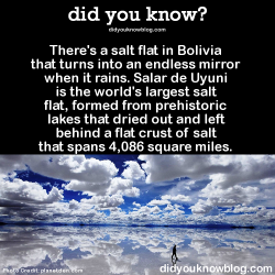 did-you-kno:  ►►More stunning photos here ►►►►►►